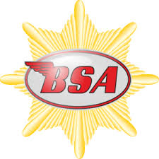 BSA