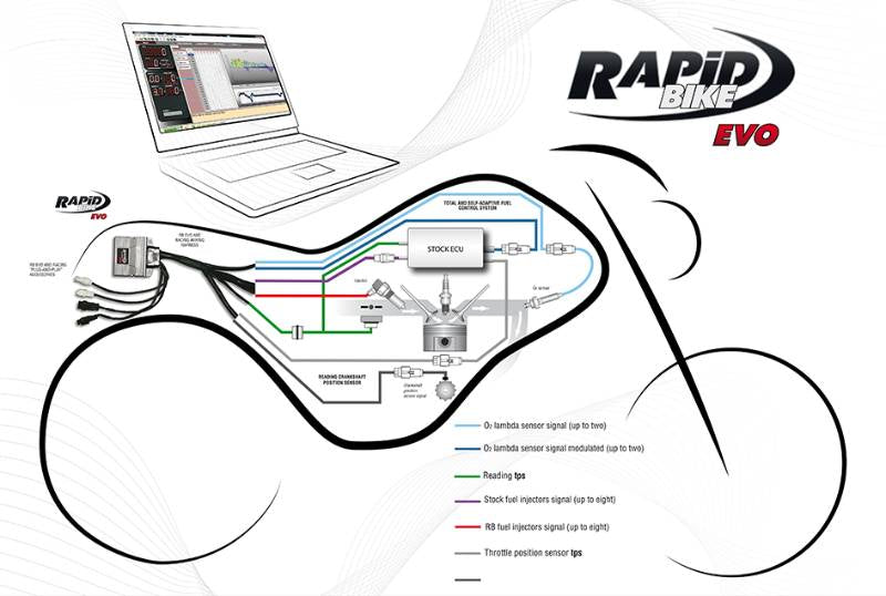 APRILIA Pegaso Strada (650cc) 05-06 Rapid Bike EVO  - Plug & Play Control Module DIMSPORT